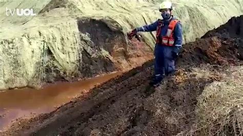 Cães farejadores ajudam bombeiros nas buscas por vítimas em Brumadinho