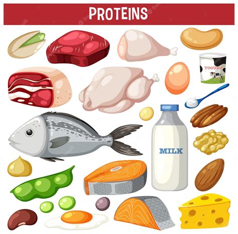 Premium Vector Variety Of Protein Meats With Text