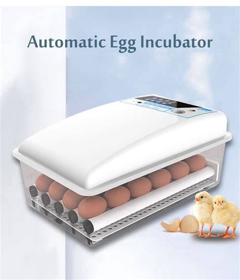 Incubator Egg Automatic Egg Machine Small Chicken Incubator Mesin Telur