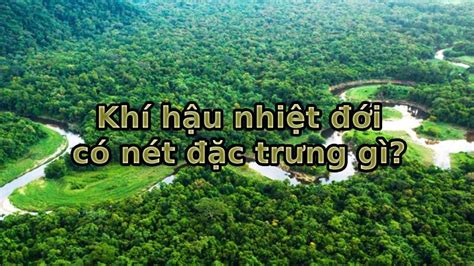 Khí hậu nhiệt đới là gì? #3 Kiểu nhiệt đới đặc trưng nhất