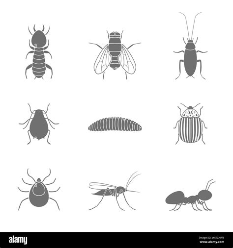 Set Of Insect Silhouettes Vector Illustration Stock Vector Image Art