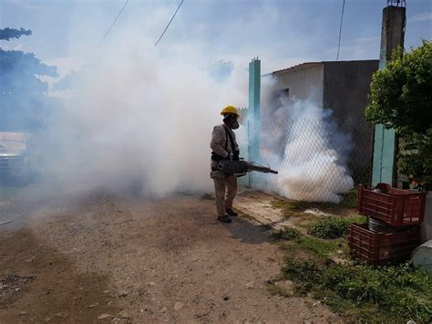 Refuerzan fumigación contra el dengue zika y chikungunya El Democrata