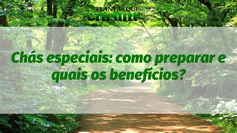 Chás especiais como preparar e quais os benefícios