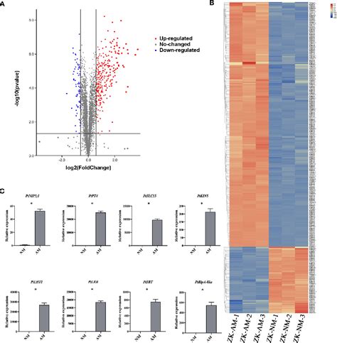 Figure From Comparative Proteomic Analysis Identifies Proteins