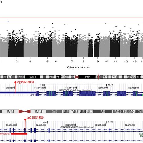 Manhattan Plot Of Epigenome Wide Associations Of Dna Methylation With