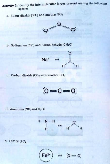 Solved Activity 2 Identify The Intermolecular Forces Present Among The Following Species A