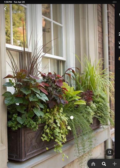 19 Window boxes ideas in 2025 | window box flowers, window boxes