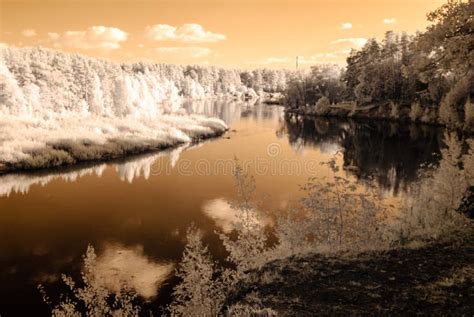 Tourist Trail By The River Of Gauja In Valmiera Latvia Autumn C Stock