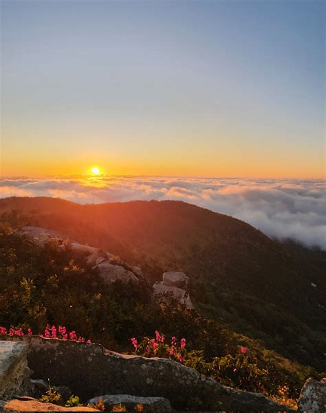 Chi On Twitter Bom Dia Para Ba Hoje Acordei Cedo Para Ver O Sol