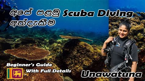 Scuba Diving Experience In Unawatuna Sri Lanka Beginner S Guide First