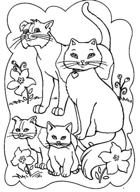 Раскраски котиков | Распечатать бесплатно