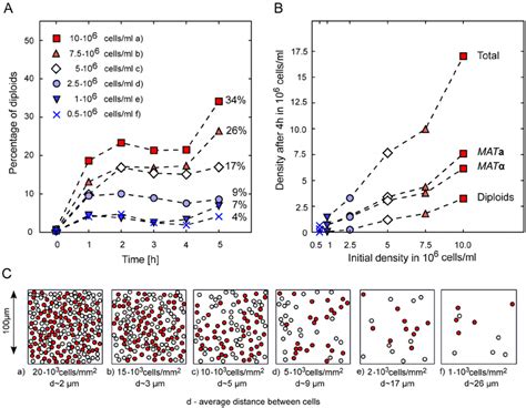 Density Dependence Of Cell Growth And Diploid Formation A Fraction