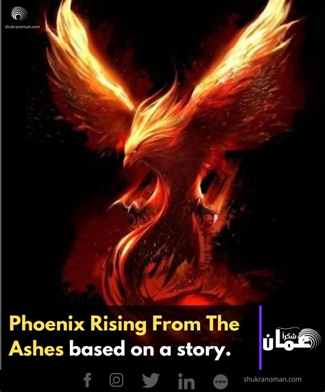 Top 100 Pictures Pictures Of A Phoenix Rising From The Ashes Superb