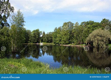 The Amazing Nature of the Karelian Isthmus Stock Image - Image of ...