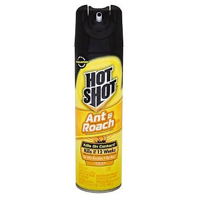 Hot Shot Lemon Scent Ant And Roach Killer Insecticide Spray Oz Shipt