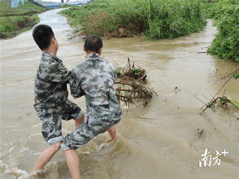 交通线即生命线，暴雨中的清远水陆交通安全畅通这样守护工作救助管理站值班