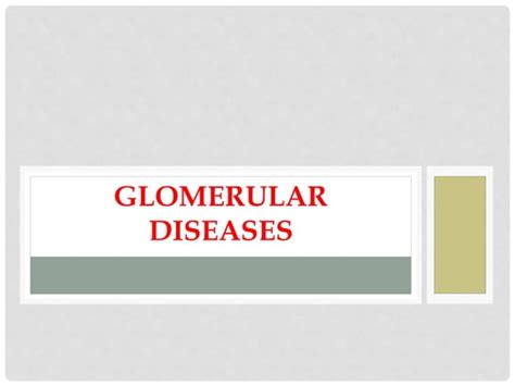 Glomerular Diseases Ppt