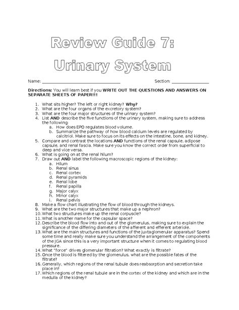 Urinary System Review Guide Answer Key 3