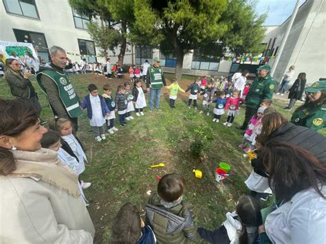 Giornata Dellalbero Fareambiente Andria Alla Scuola Oberdan