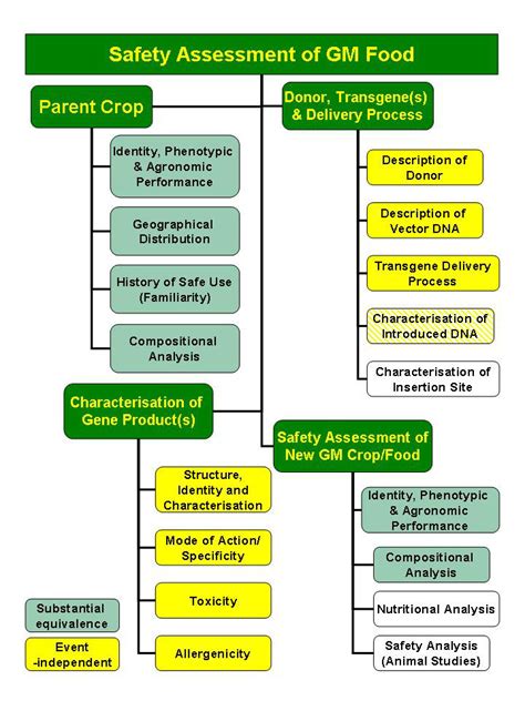 Golden Rice Regulatory Issues