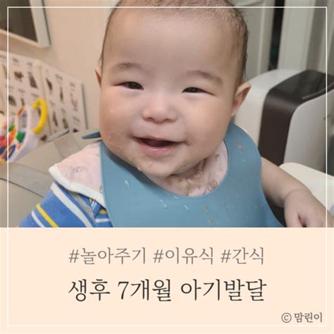 생후 7개월 아기발달 놀아주기 이유식양 분유량 간식 과일 변비 네이버 블로그