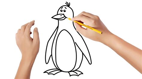 Como Desenhar Um Pinguim YouTube