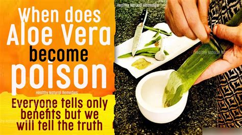 Stop Using Aloe Vera In These Conditions Side Effects Of Aloe When