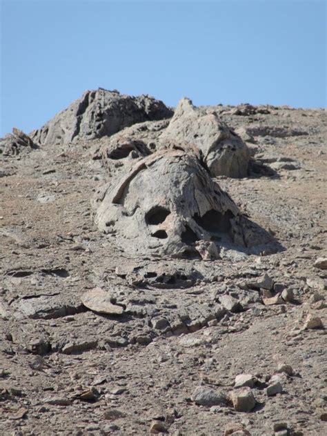 Caminantes Del Desierto NI PENA NI MIEDO LA ESCULTURA DEL DESIERTO