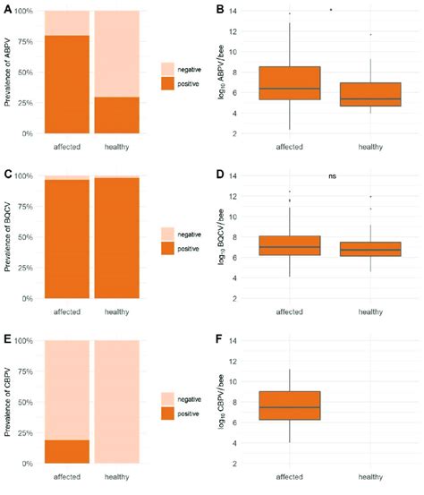 The Detected Prevalence A C E And The Average Viral Load B D F For