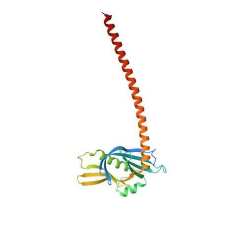 RCSB PDB 3Q0X N Terminal Coiled Coil Dimer Domain Of C Reinhardtii