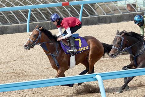 【皐月賞】ソールオリエンスは8キロ増 調教後馬体重｜競馬ニュース｜競馬予想のウマニティ