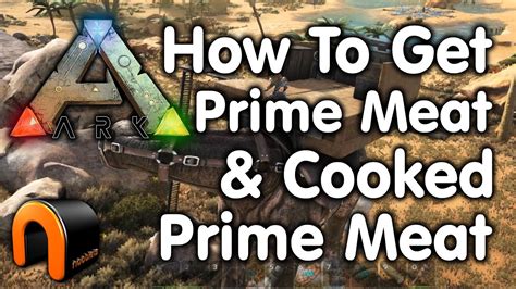 Ark The Best Ways To Get Prime Meat And Cooked Prime Meat Youtube