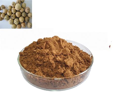 Majuphal Powder At Best Price In Ahmedabad Gujarat Pooja Traders