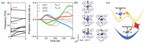 A Phonon Dispersion Spectrum And Time Evolution Of All Fifteen