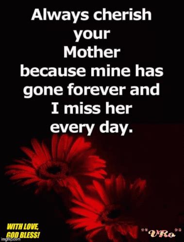 Always Cherish Your Mother I Miss Her Everyday Always Cherish