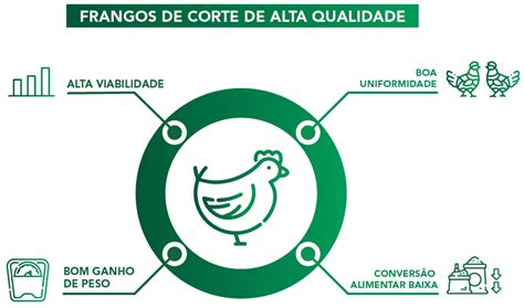 P S Eclos O Pontos Cr Ticos Que Afetam O Desenvolvimento Inicial