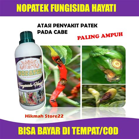 Jual Obat Patek Pada Tanaman Cabai Nopatek Fungisida Hayati Obat