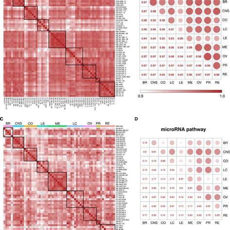 Cell Cell And Tissue Of Origin Correlation Pearson Correlation Download Scientific Diagram