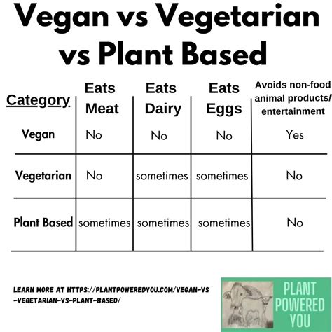 Vegan vs Vegetarian vs Plant Based: Are They The Same?