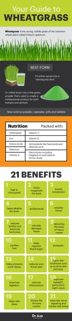 Wheatgrass Benefits Nutrition And How To Use Dr Axe