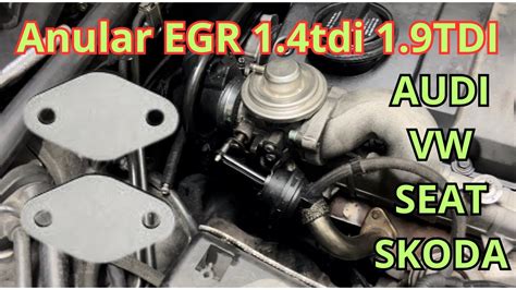 Como Anular Egr Tdi Vw Audi Seat Skoda Youtube