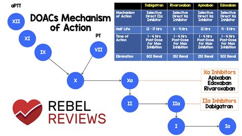 Rebel Reviews Rebel Em Emergency Medicine Blog