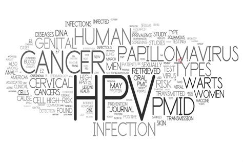 ویروس اچ پی وی HPV یا پاپیلوما ویروس چیست رادمان تشخیص پارس