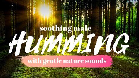 ASMR 30 Minutes Ambient Nature Sounds With Deep Male Voice Humming