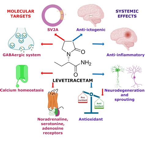 Busulfan Mechanism Of Action