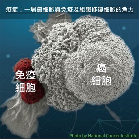 康善生技股份有限公司