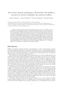 Intra Colony Channel Morphology In Escherichia Coli Biofilms Is