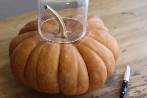 Tutorial D Autunno Zucca Porta Fiori Centrotavola