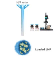 nanoz lnp lipid nanoparticles