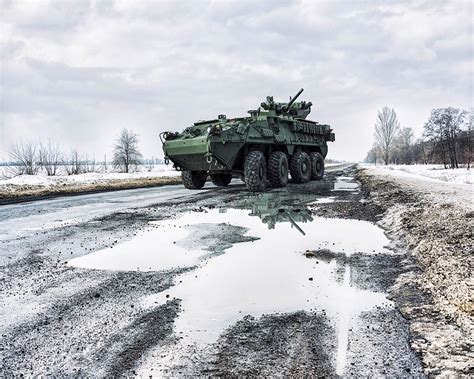 Stryker Mcws Medium Caliber Weapons System Vehicle Photos